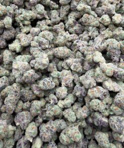 Glitter Bomb Exotic Smells