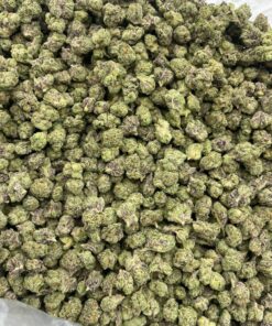 White Cherry Gelato