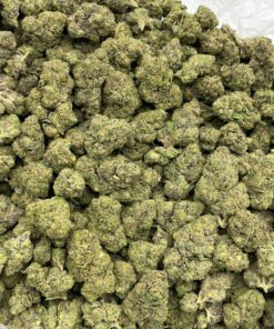 Blueberry Gruntz