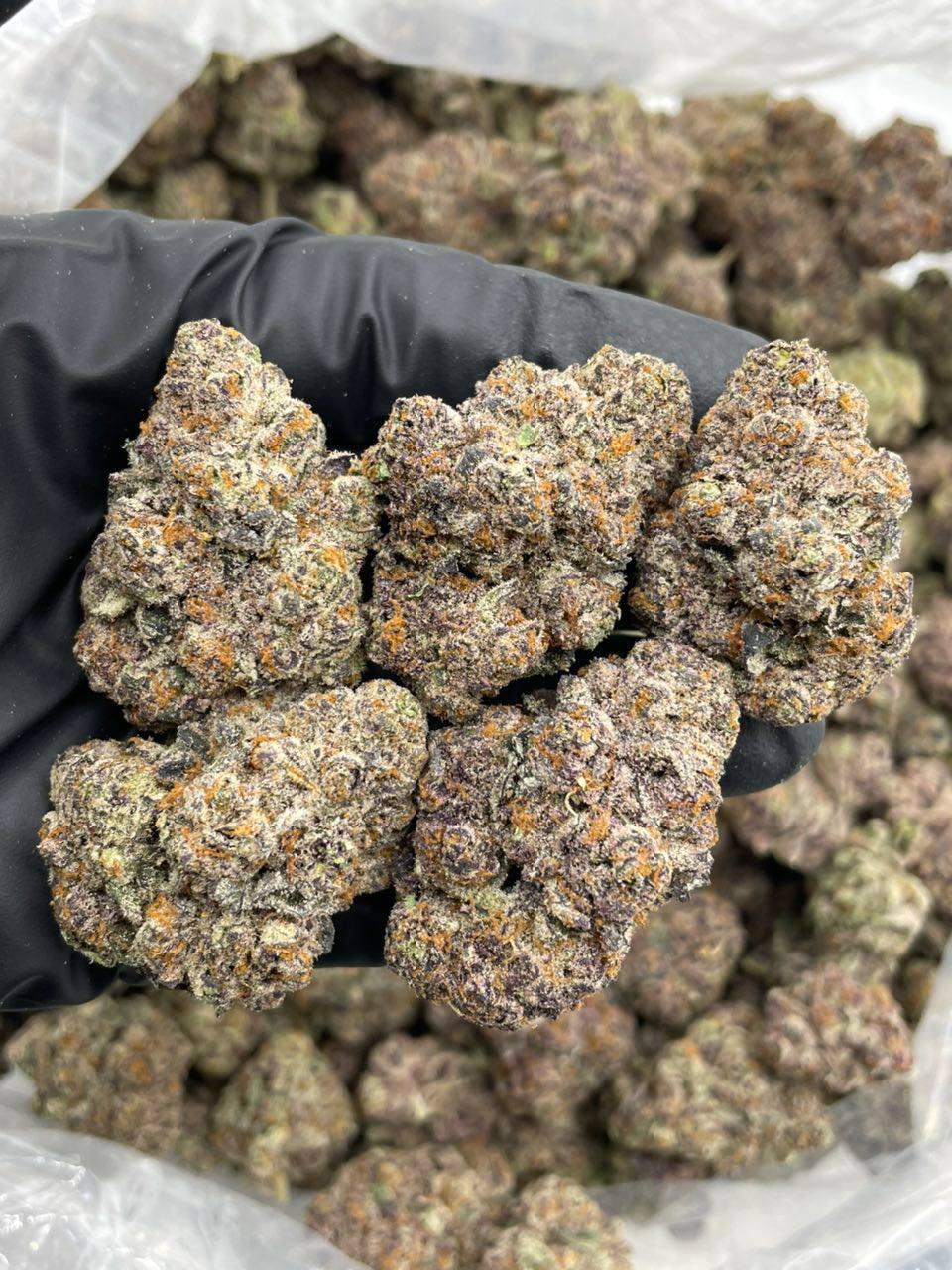 Grape Zour Patch - Image 2