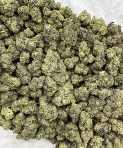 Grape Gobstopper