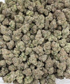 Purple Pressure