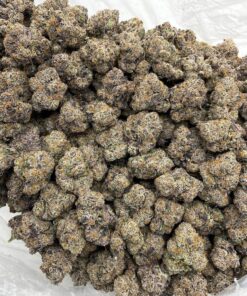 Black Cherry Gelato