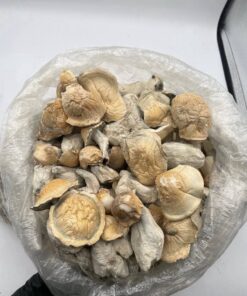 Ape mushrooms